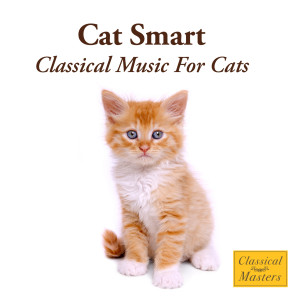收聽St. Martin's Orchestra的Mozart: Turkish March歌詞歌曲