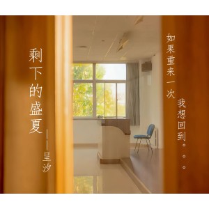 Album 剩下的盛夏·2025改编版 from 