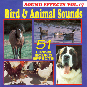 ดาวน์โหลดและฟังเพลง Cockatiel พร้อมเนื้อเพลงจาก Stanley R. Fields