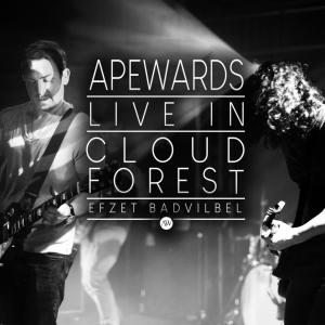 收聽Apewards的Turtlerider (Live)歌詞歌曲