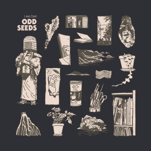 อัลบัม Odd Seeds (Pt 1) ศิลปิน I Am Oak