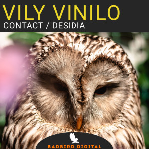 收聽Vily Vinilo的Contact歌詞歌曲