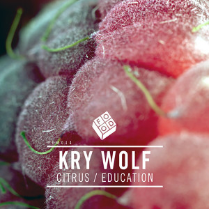 Listen to Citrus (Original Mix) song with lyrics from Kry Wolf