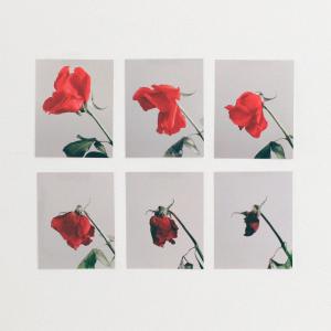 收聽Rojas III的Silueta (Explicit)歌詞歌曲