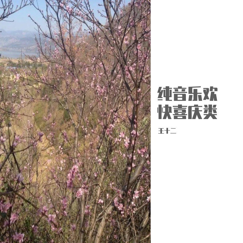 欢喜春节过新年 (完整版)