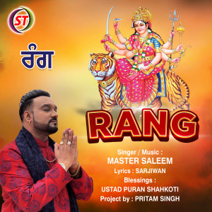 Master Saleem的專輯Rang