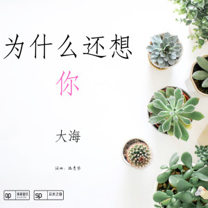 收聽大海的為什麼還想你 (伴奏)歌詞歌曲