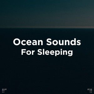 Dengarkan 8D Ocean Sounds lagu dari Ocean Sounds dengan lirik