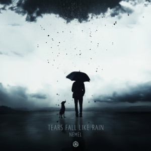 Listen to Tears Fall Like Rain song with lyrics from Nemel