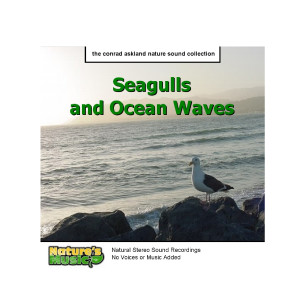 ดาวน์โหลดและฟังเพลง Ocean Waves Nature Sounds พร้อมเนื้อเพลงจาก Nature's Music
