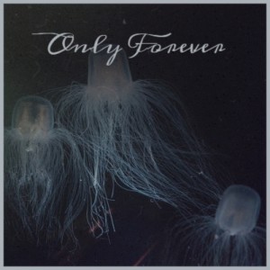 收聽Freddy Fender的Before the Next Teardrops Fall (Live)歌詞歌曲