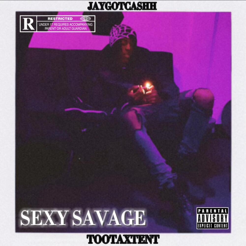Sexy Savage (Explicit)