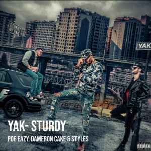 Album Yak- Sturdy (Explicit) from Styles