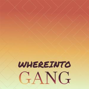 Listen to Window Watchword song with lyrics from Arti Daff