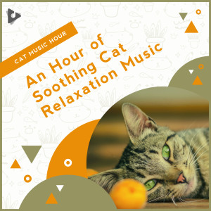 Kitten Music的專輯An Hour of Soothing Cat Relaxation Music