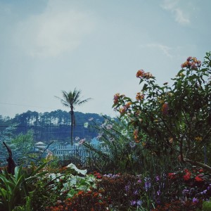 Listen to Dưới Cơn Mưa song with lyrics from Khói