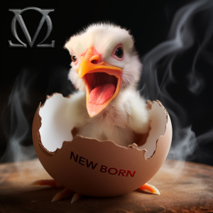 Velvet Ocean的專輯New Born