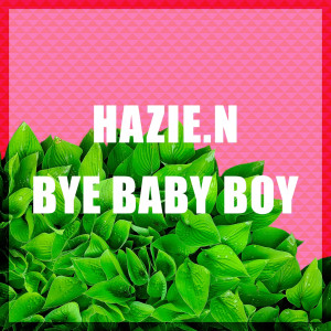 Album BYE BABY BOY from 헤이지엔