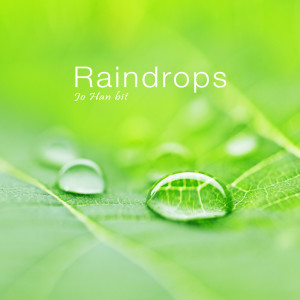 Listen to Raindrops song with lyrics from 조한빛