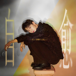 Listen to 自愈 (伴奏) song with lyrics from Wang Bo-Wen (王博文)