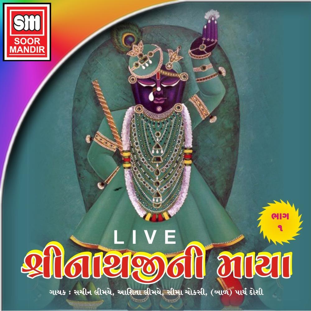Ha Re Lagni Lagi Shreeji Tara
