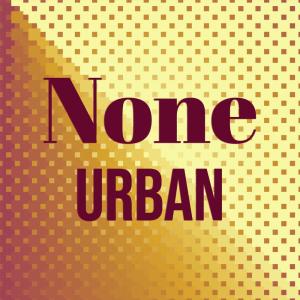 Listen to Newcastle Noche song with lyrics from Damoon Mela