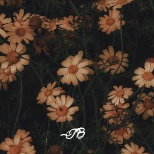 Listen to Nuva song with lyrics from Júnior No Beat