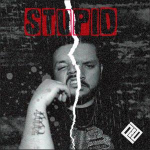 PMD的專輯Stupid (feat. PMD) (Explicit)