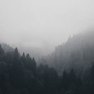 Listen to I promise I don't care at all song with lyrics from Sinxi