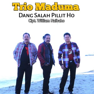Listen to Dang Sala Pillit Ho song with lyrics from Trio Maduma