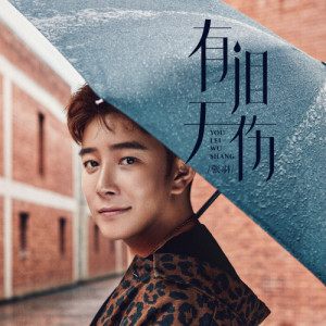 Listen to 有泪无伤 (伴奏) song with lyrics from 张羽