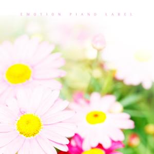 อัลบัม Smile with you (New Age Piano) ศิลปิน Ha Seongjun