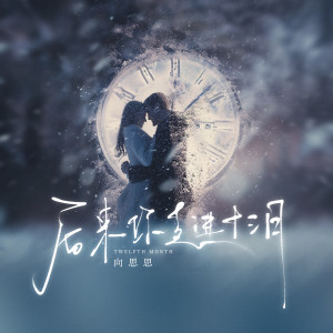 收聽向思思的後來你走進十三月歌詞歌曲