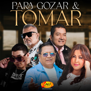 Listen to Adiós Mi Gran Amor song with lyrics from Juan Carlos Zarabanda