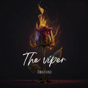 ดาวน์โหลดและฟังเพลง amapiano พร้อมเนื้อเพลงจาก The Viper