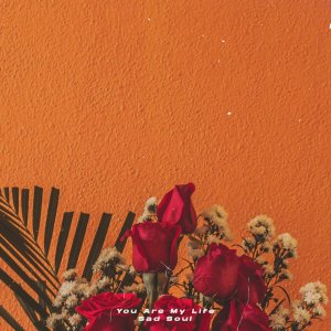 收听Sad Soul的You Are My Life歌词歌曲
