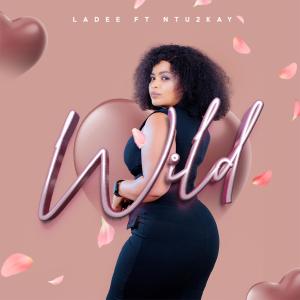 La Dee的專輯WILD (feat. Ntu2kay)