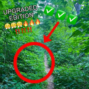 收聽whogle1的iwouldrecommendgoingoutside:D (UPGRADEDEDITION #swag) (Explicit)歌詞歌曲