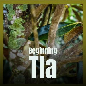 Listen to Beginning Tla song with lyrics from Ernis Siddh