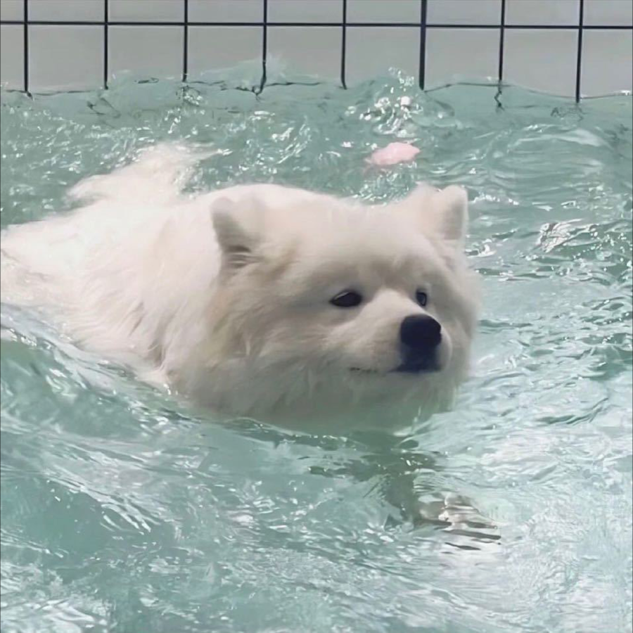 欣奕