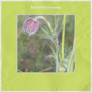 Album Kernel Everyone from Various