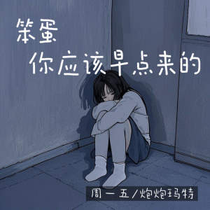 收听炮炮马特的笨蛋 你应该早点来的 (伴奏)歌词歌曲