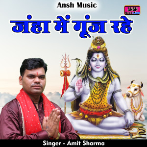 Listen to Janha Mein Goonj Rahe (Hindi) song with lyrics from Amit Sharma Nandpuriya