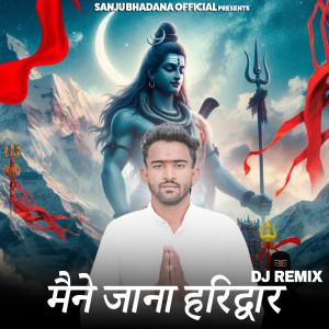 Album Maine Jana Haridwar (DJ Remix) from 