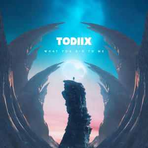 ดาวน์โหลดและฟังเพลง What You Did to Me พร้อมเนื้อเพลงจาก TODIIX