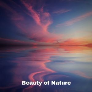 ดาวน์โหลดและฟังเพลง Birds Singing in Deep Meditative Forest พร้อมเนื้อเพลงจาก Yoga