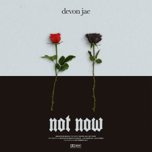 ดาวน์โหลดและฟังเพลง Not Now พร้อมเนื้อเพลงจาก devon jae