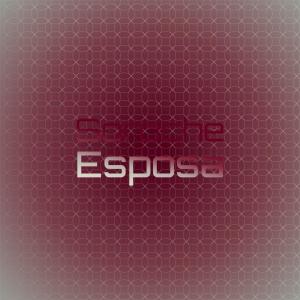 Various的专辑Soroche Esposa