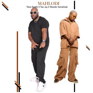 收聽Tbos Nyathi的Mahlodi (feat. Tee jay & Ntando yamahlubi)歌詞歌曲