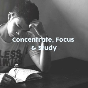 收聽Concentration Study的Zen and Focus歌詞歌曲